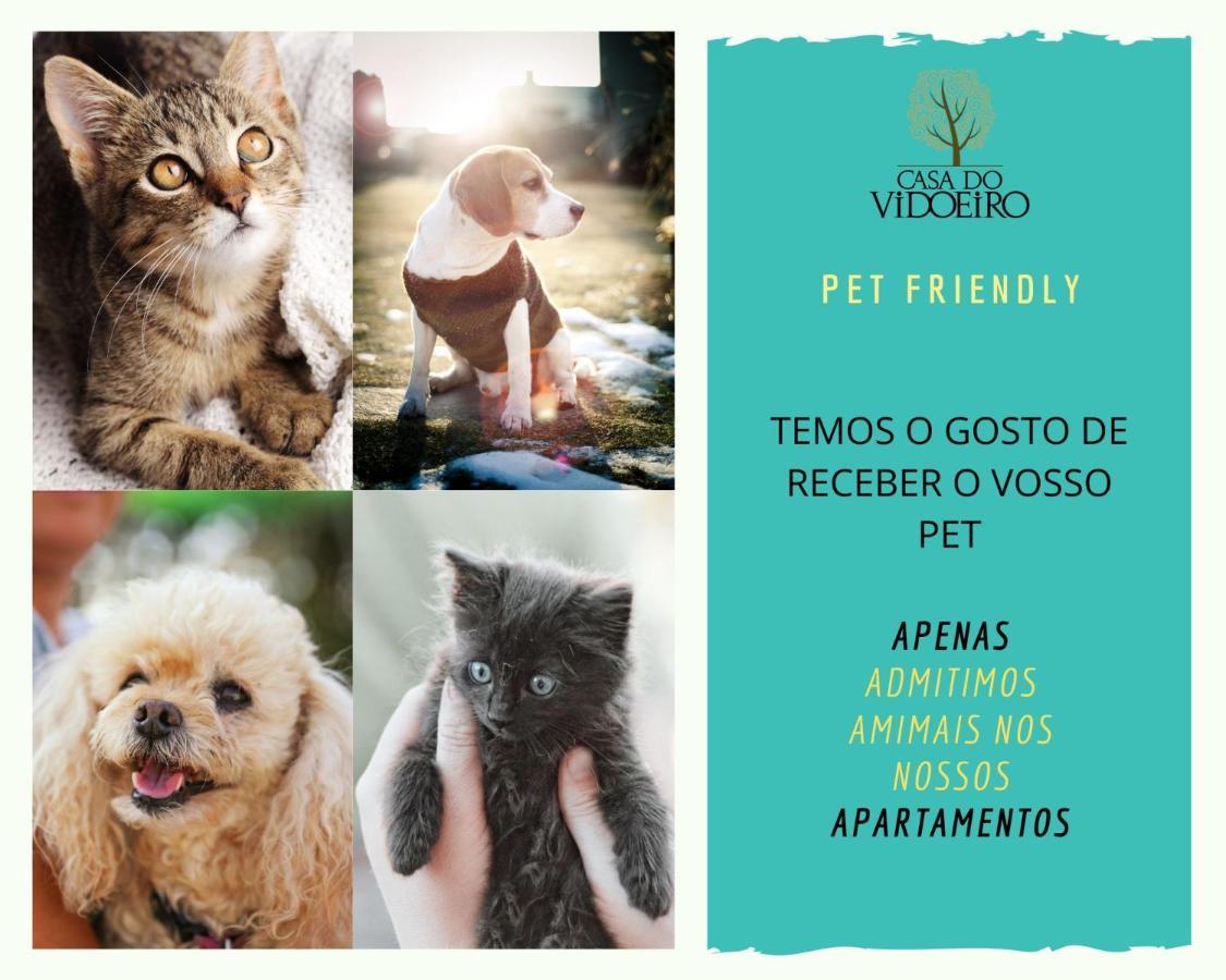 Casa Do Vidoeiro Apartment เซยา ภายนอก รูปภาพ