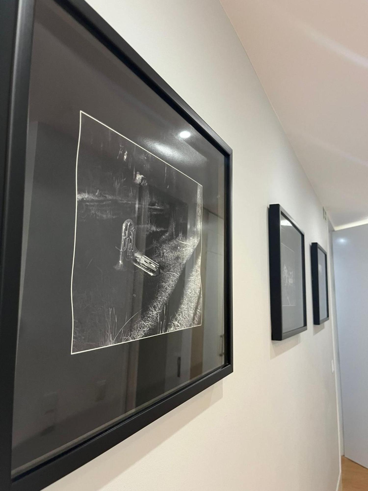 Casa Do Vidoeiro Apartment เซยา ภายนอก รูปภาพ